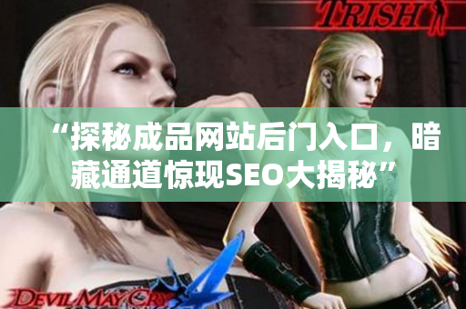 “探秘成品网站后门入口，暗藏通道惊现SEO大揭秘”