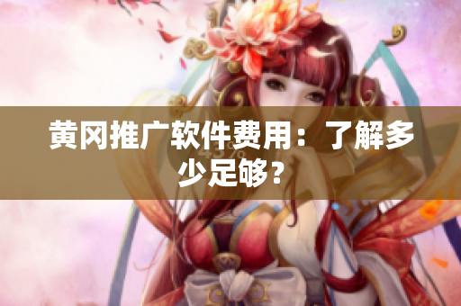 黄冈推广软件费用：了解多少足够？