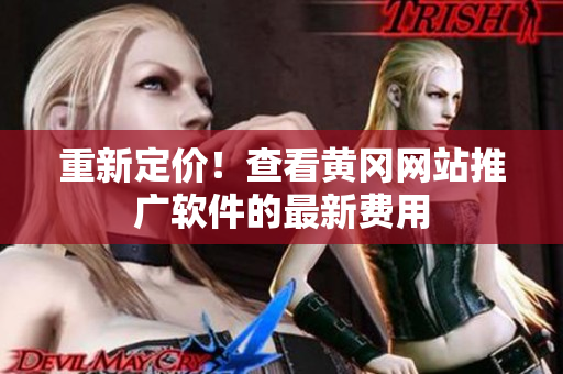重新定价！查看黄冈网站推广软件的最新费用