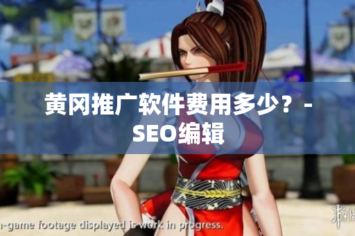 黄冈推广软件费用多少？-SEO编辑