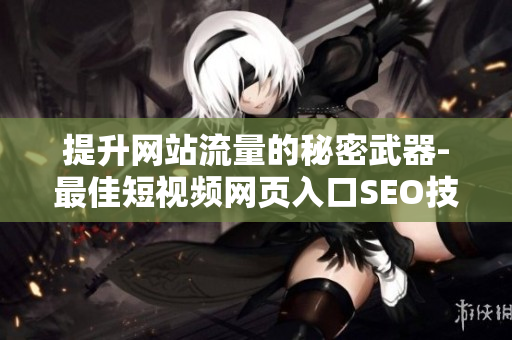 提升网站流量的秘密武器-最佳短视频网页入口SEO技巧