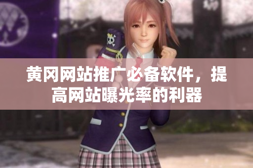 黄冈网站推广必备软件，提高网站曝光率的利器
