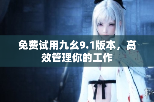 免费试用九幺9.1版本，高效管理你的工作