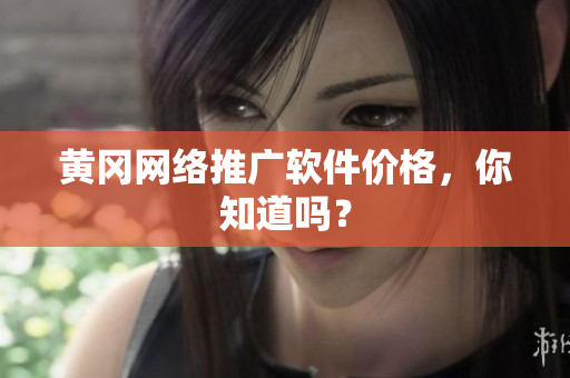 黄冈网络推广软件价格，你知道吗？