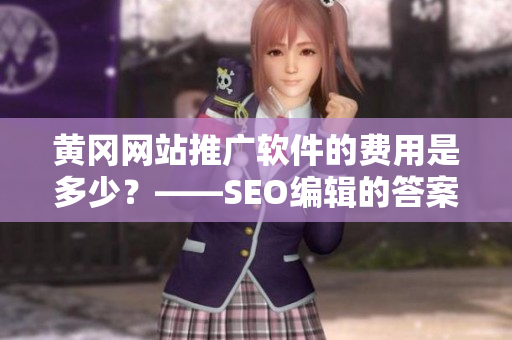 黄冈网站推广软件的费用是多少？——SEO编辑的答案