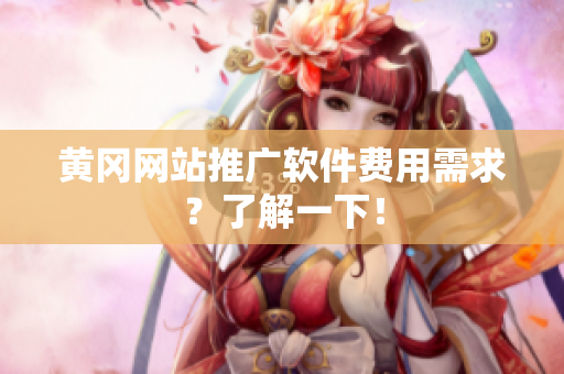 黄冈网站推广软件费用需求？了解一下！