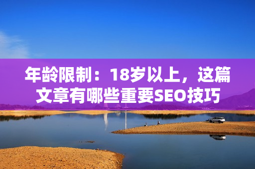 年龄限制：18岁以上，这篇文章有哪些重要SEO技巧
