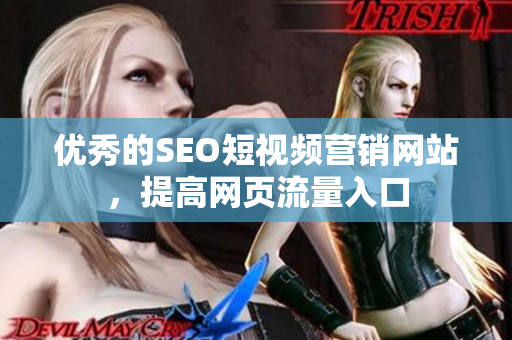 优秀的SEO短视频营销网站，提高网页流量入口