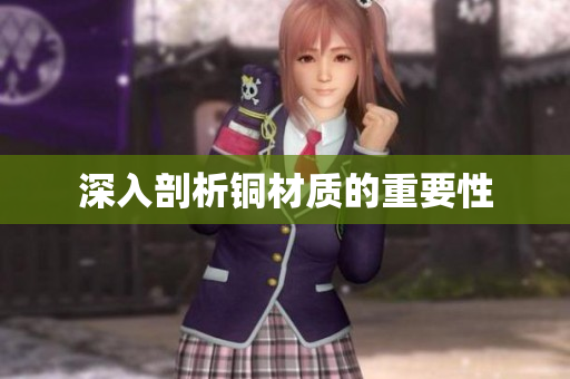 深入剖析铜材质的重要性