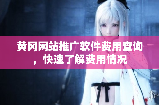 黄冈网站推广软件费用查询，快速了解费用情况