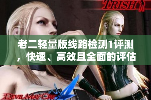 老二轻量版线路检测1评测，快速、高效且全面的评估