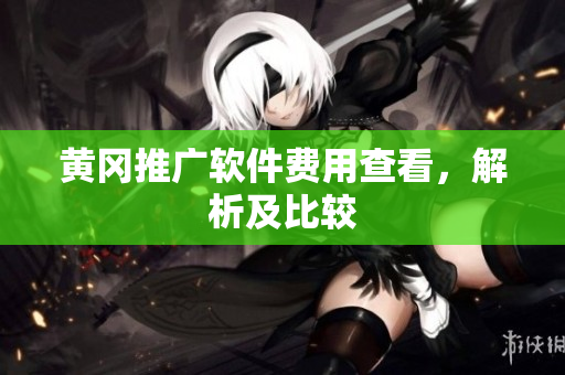黄冈推广软件费用查看，解析及比较