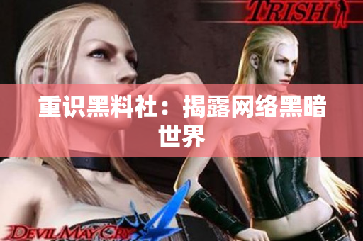 重识黑料社：揭露网络黑暗世界