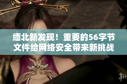 缅北新发现！重要的56字节文件给网络安全带来新挑战