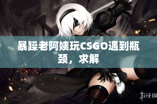 暴躁老阿姨玩CSGO遇到瓶颈，求解
