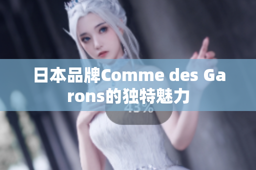 日本品牌Comme des Garons的独特魅力