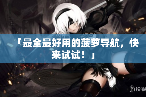 「最全最好用的菠萝导航，快来试试！」