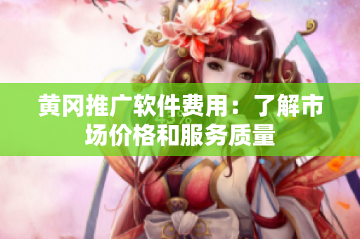黄冈推广软件费用：了解市场价格和服务质量