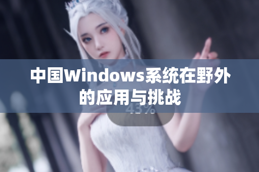 中国Windows系统在野外的应用与挑战