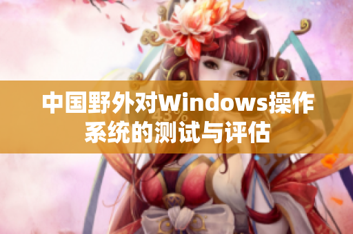 中国野外对Windows操作系统的测试与评估