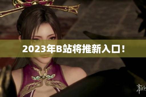 2023年B站将推新入口！