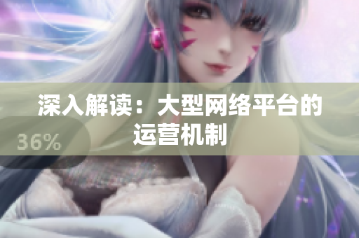 深入解读：大型网络平台的运营机制