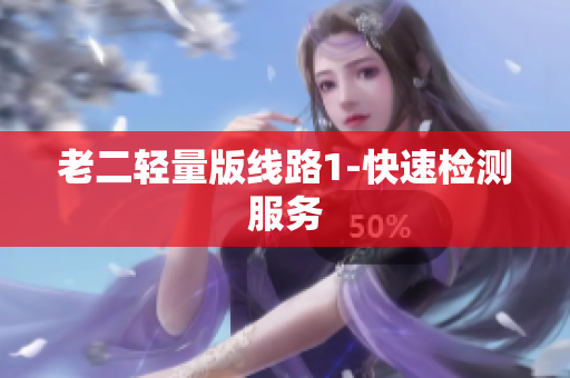 老二轻量版线路1-快速检测服务
