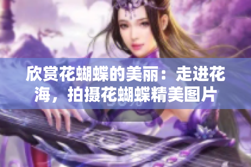欣赏花蝴蝶的美丽：走进花海，拍摄花蝴蝶精美图片