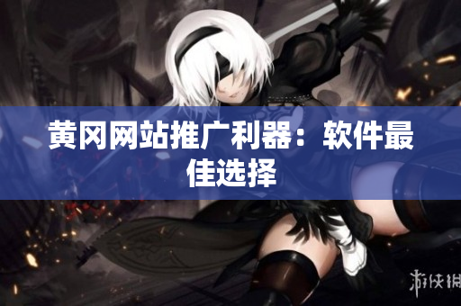 黄冈网站推广利器：软件最佳选择