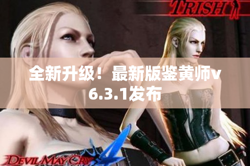 全新升级！最新版鉴黄师v6.3.1发布