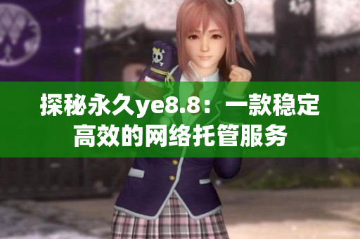 探秘永久ye8.8：一款稳定高效的网络托管服务