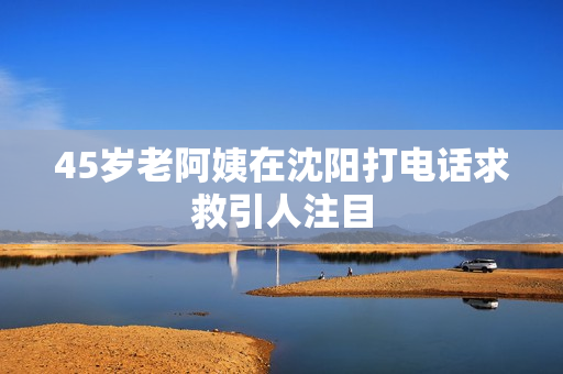 45岁老阿姨在沈阳打电话求救引人注目