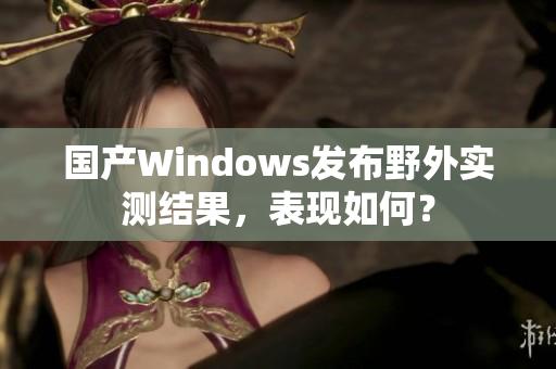 国产Windows发布野外实测结果，表现如何？