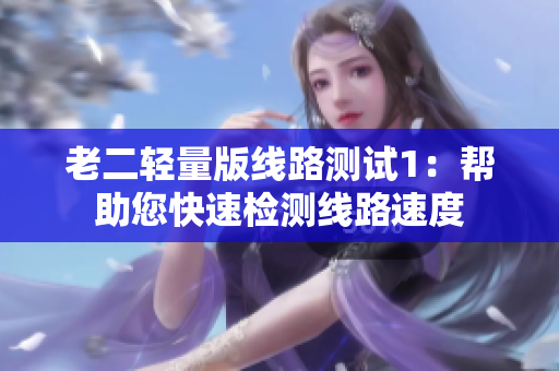 老二轻量版线路测试1：帮助您快速检测线路速度