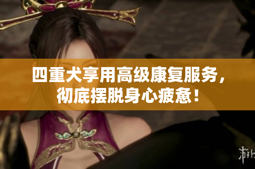 四重犬享用高级康复服务，彻底摆脱身心疲惫！