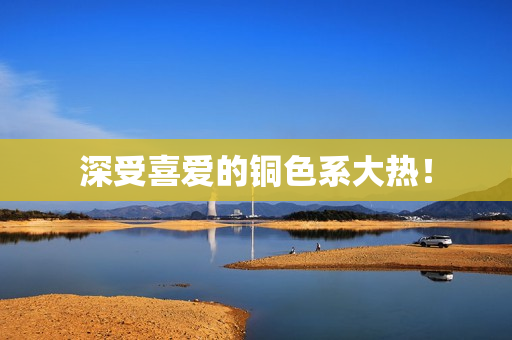 深受喜爱的铜色系大热！