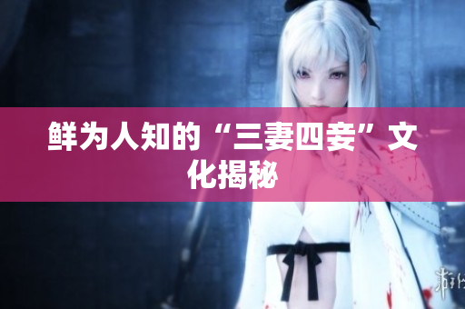 鲜为人知的“三妻四妾”文化揭秘