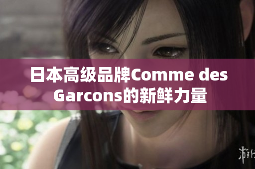 日本高级品牌Comme des Garcons的新鲜力量