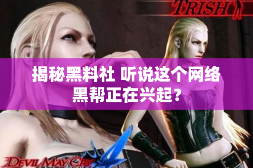 揭秘黑料社 听说这个网络黑帮正在兴起？