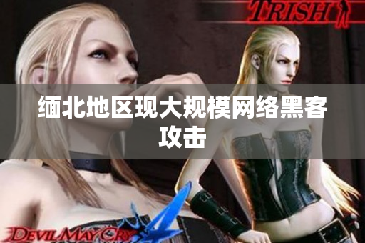 缅北地区现大规模网络黑客攻击