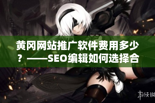 黄冈网站推广软件费用多少？——SEO编辑如何选择合适的软件？