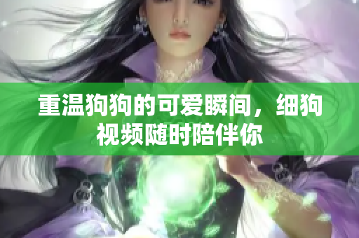 重温狗狗的可爱瞬间，细狗视频随时陪伴你