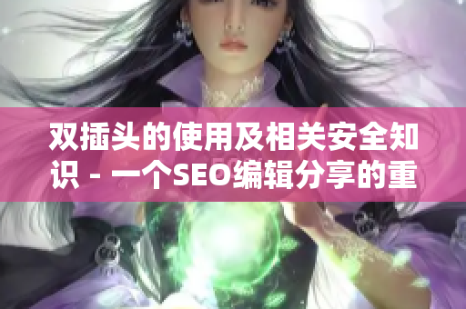 双插头的使用及相关安全知识 - 一个SEO编辑分享的重要提示