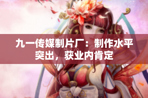 九一传媒制片厂：制作水平突出，获业内肯定