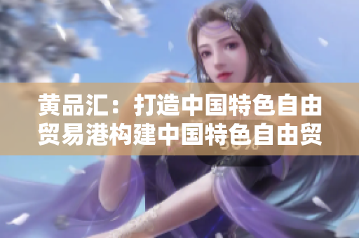黄品汇：打造中国特色自由贸易港构建中国特色自由贸易港——黄品汇