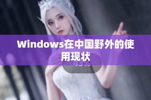 Windows在中国野外的使用现状