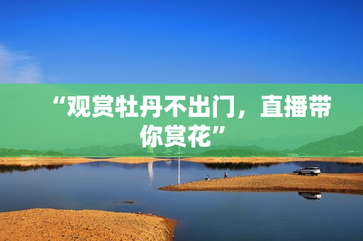 “观赏牡丹不出门，直播带你赏花”