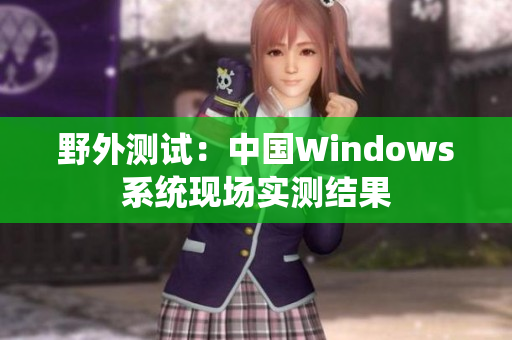 野外测试：中国Windows系统现场实测结果
