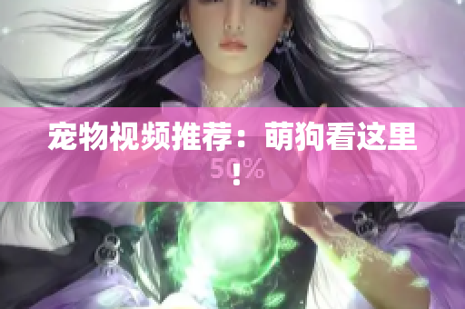 宠物视频推荐：萌狗看这里！