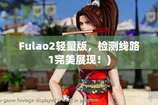 Fulao2轻量版，检测线路1完美展现！)